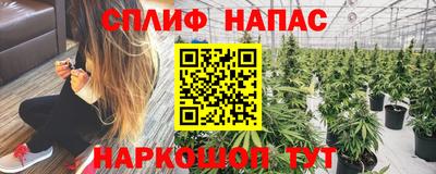 мяу мяу мука Кимры